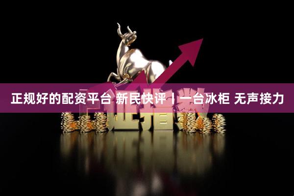 正规好的配资平台 新民快评丨一台冰柜 无声接力